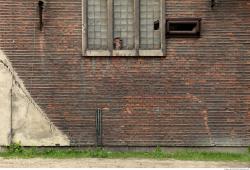 Photo Textures of Wall Bricks